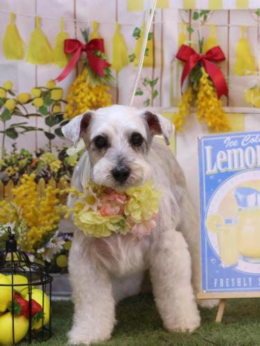 20240427ボルトくん